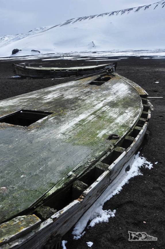 Restos bem conservados de antigo barco na praia de Deception Island, na Antártida